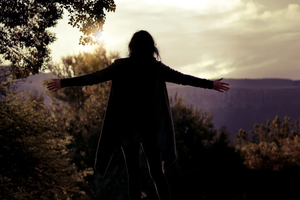 Kingdom Re-flect Gallery Image 2